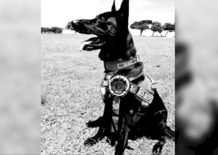Pioneiro em buscas, Duke morre após 13 anos de dedicação no Corpo de Bombeiros em MS