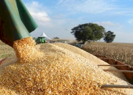 Suspensão do Plano Safra pode aumentar preços dos alimentos, dizem produtores de MS