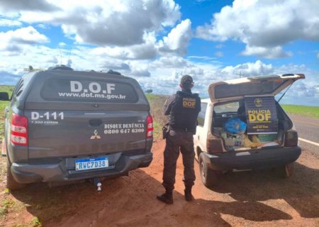 DOF apreende mais de 150 quilos de droga que seguiam para Naviraí