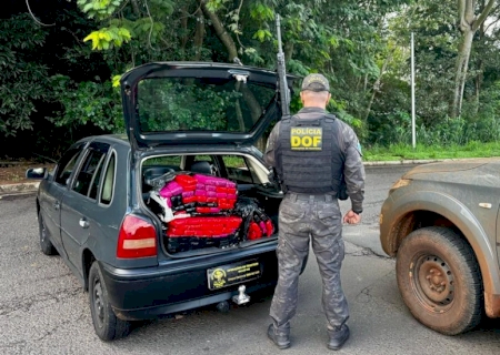 DOF apreende maconha em MS que seguia para o Estado do Paraná