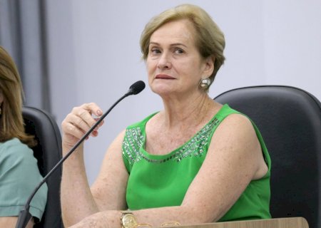 Professora Denir solicita melhorias viárias e de infraestrutura em escola e rua
