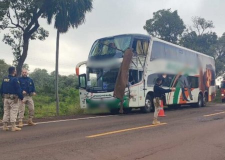 Morto em acidente de ônibus na BR-262, idoso viajava para conhecer a neta recém-nascida