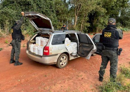 DOF apreende veículo carregado com agrotóxicos em MS