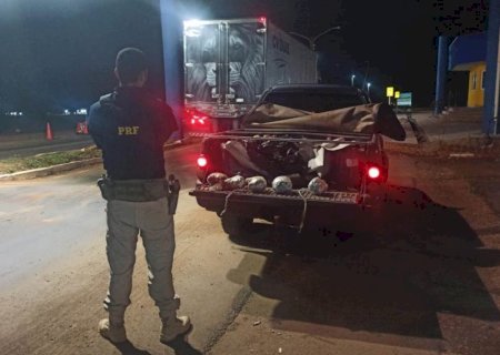 IVINHEMA: PRF apreende 34 kg de skunk durante abordagem na BR-376