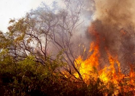 Incêndio que destruiu 2 mil hectares de área protegida é investigado