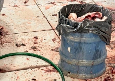 Peixaria interditada após batida policial vendia peixes com 70% de gelo em MS