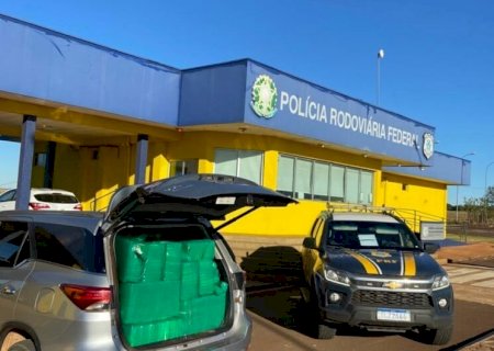 Dono de 'roça de maconha' é preso levando droga para SP