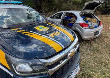 DEODÁPOLIS: Após perseguição, PRF apreende 700 kg de maconha