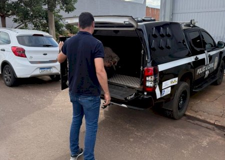 Homem conhecido como “Rei do Cobre' é preso em Nova Andradina por furto de fios elétricos