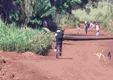 Adolescente é agredida e vítima de tentativa de estupro coletivo em reserva indígena de Dourados