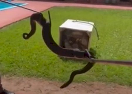 Já pensou? Família acha cobra ‘morando’ em eletrodoméstico da casa em MS