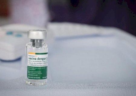 Vacina brasileira contra a dengue mantém eficácia por até 5 anos