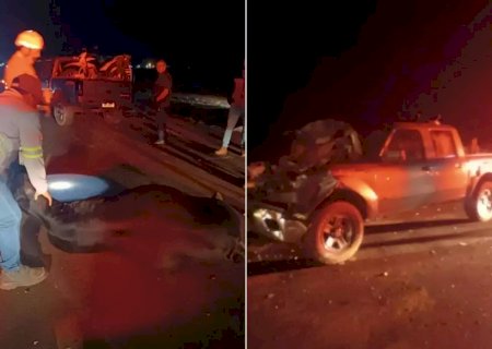 Caminhonete colide e mata seis vacas que estavam em rodovia