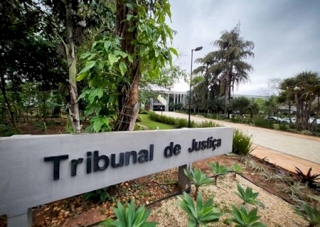 Motorista é condenada após atropelar mulher na faixa de pedestres