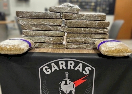 Mulher é presa com 15 quilos de maconha em ônibus interestadual