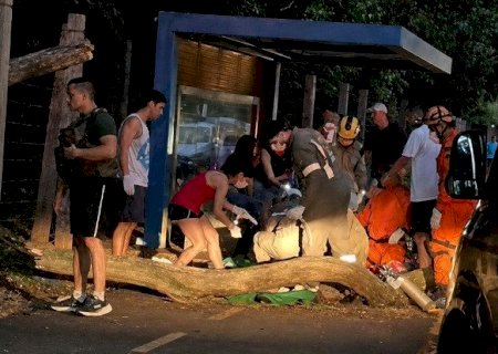 Jovem morre ao ser atingida por árvore enquanto andava de patinete em MS