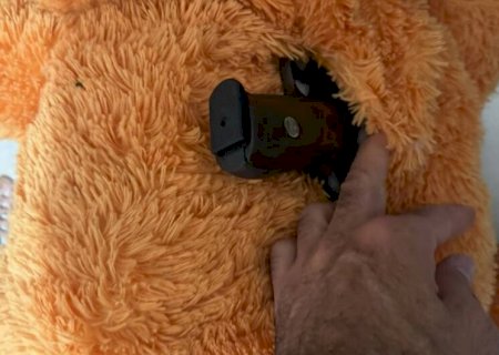 Pistola é encontrada dentro de bicho de pelúcia durante operação que prendeu cinco em MS