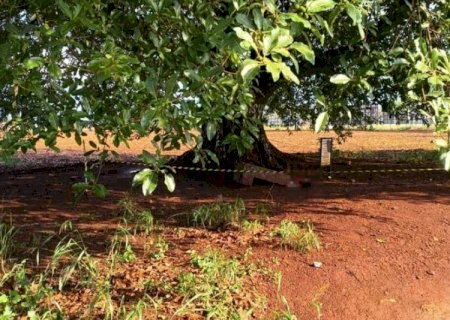 Homem de 41 anos é encontrado morto sob árvore em Dourados