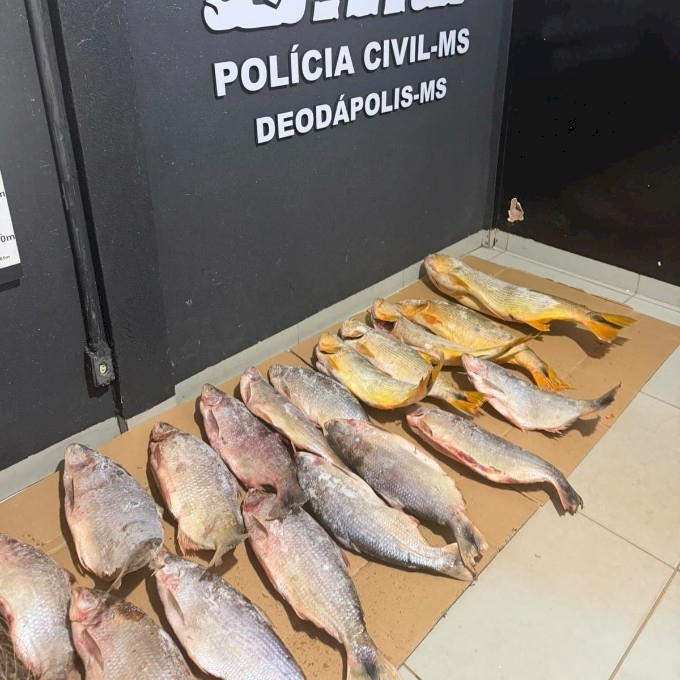 DEODÁPOLIS: Polícia Civil e Polícia Militar prendem ex-presidiário por porte ilegal de arma de fogo e pesca ilegal em Lagoa Bonita