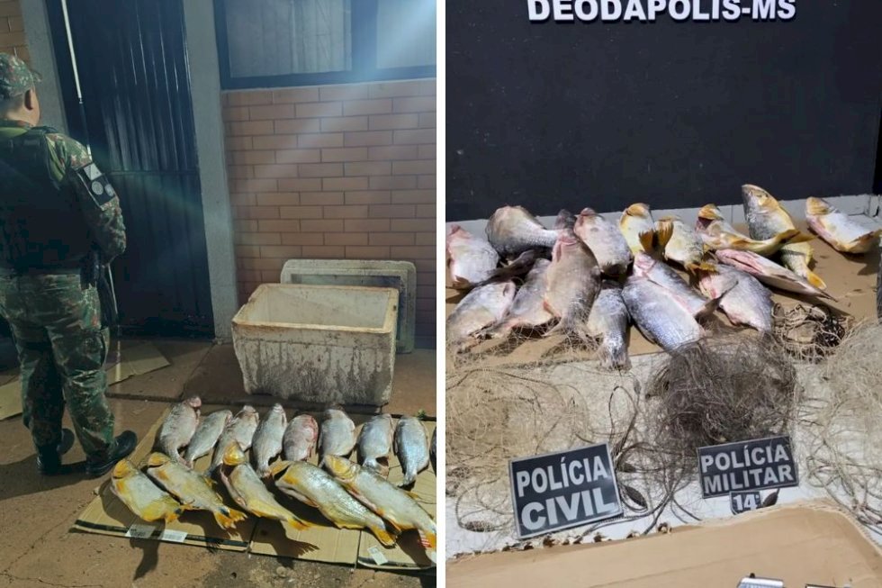 DEODÁPOLIS: PMA apreende mais de 38 quilos de pescado irregular e aplica multas que totalizam R$ 88 mil