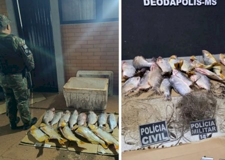 DEODÁPOLIS: PMA apreende mais de 38 quilos de pescado irregular e aplica multas que totalizam R$ 88 mil